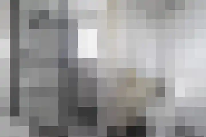 Uilenburg 51 IJlst thumbnail 21