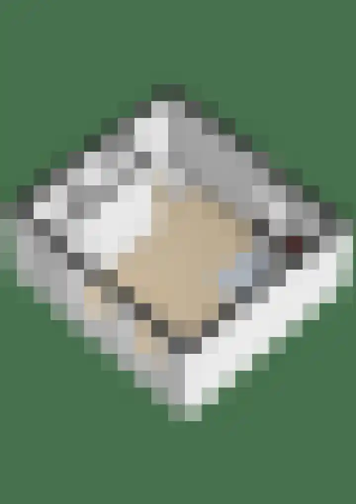 Uilenburg 51 IJlst thumbnail 37