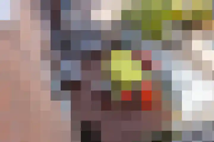 Uilenburgerwerf 56 Amsterdam thumbnail 17