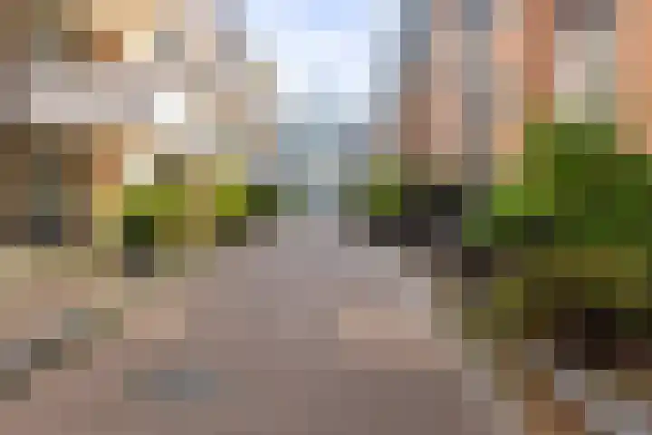 Uilenburgerwerf 56 Amsterdam thumbnail 27