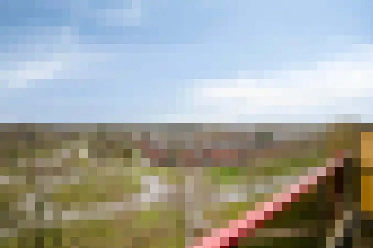 Uilenveld 54 Emmen thumbnail 7