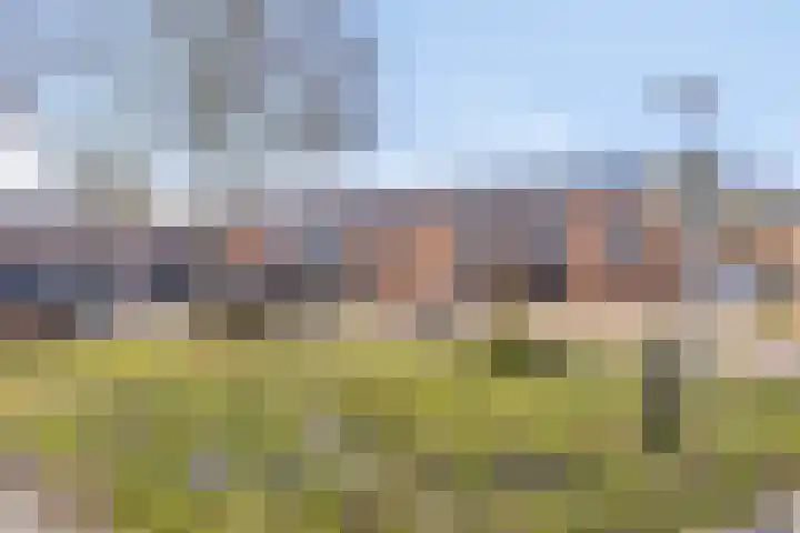 Uilenveld 543 Emmen thumbnail 41