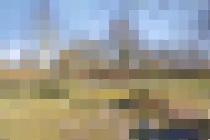 Uilenveld 543 Emmen thumbnail 42