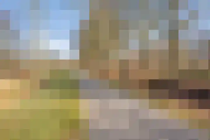 Uilenveld 543 Emmen thumbnail 43