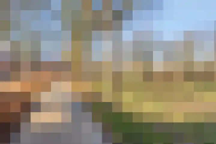 Uilenveld 543 Emmen thumbnail 44