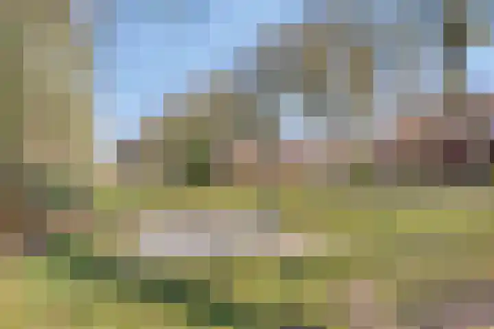 Uilenveld 543 Emmen thumbnail 45
