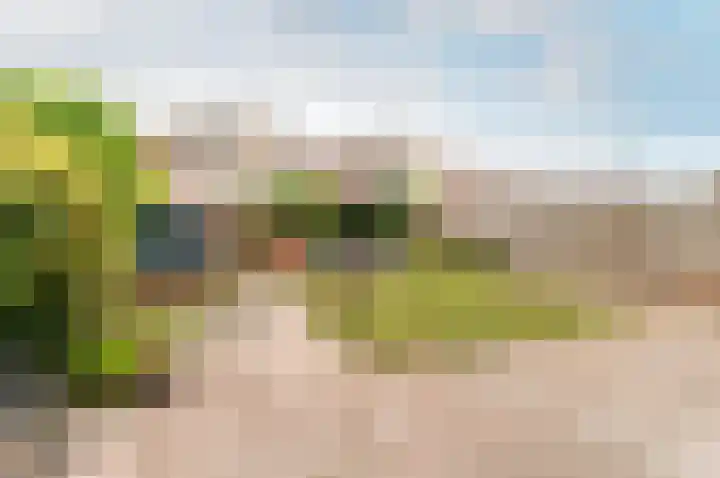 Uitdamstraat 9 Lelystad thumbnail 50