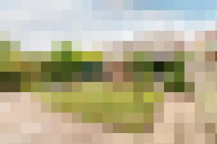 Uitdamstraat 9 Lelystad thumbnail 51