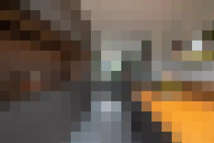 Uitermeer 16 Gorinchem thumbnail 8