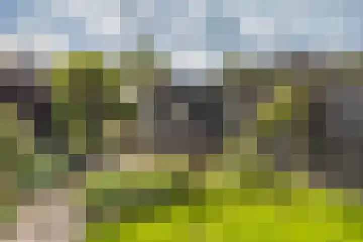 Uitermeer 36 Gorinchem thumbnail 13