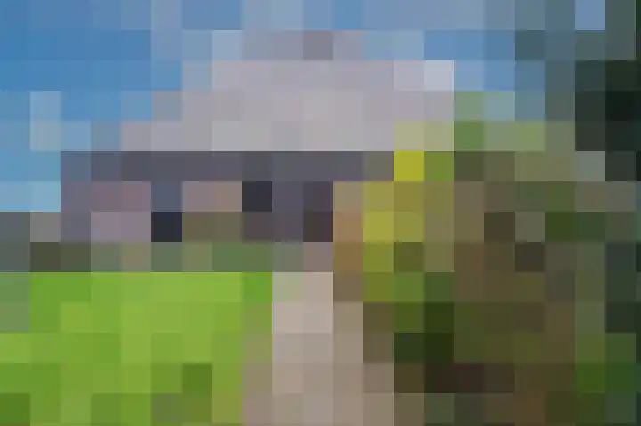 Uitgang 6 E Ursem thumbnail 30