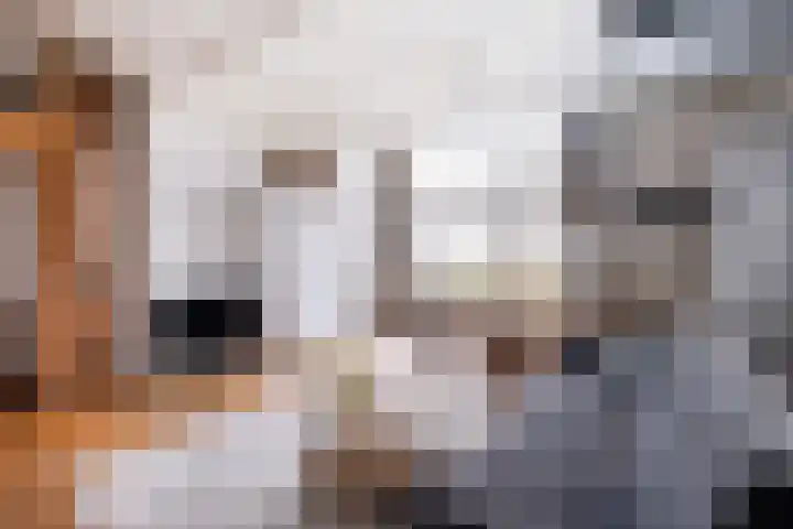 Uitgang 6 E Ursem thumbnail 5