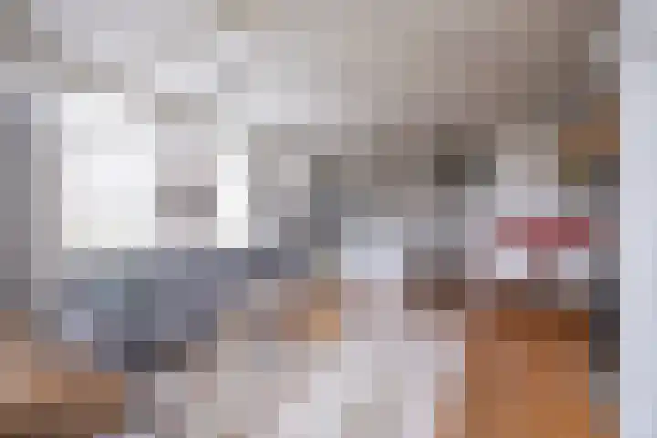 Uitgang 6 E Ursem thumbnail 9
