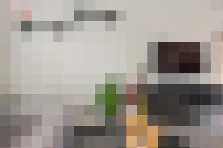 Uithof 84 Schoonebeek thumbnail 20