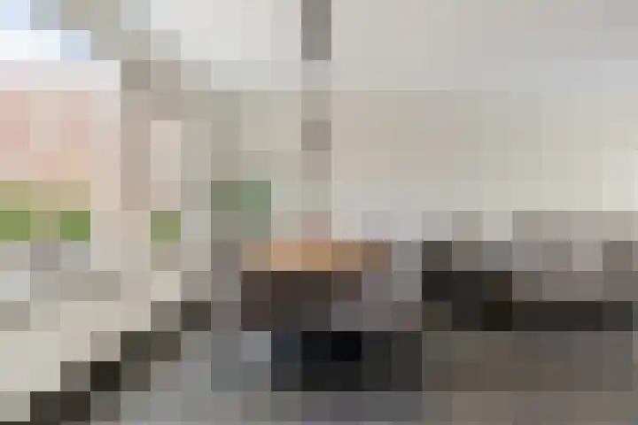 Uithof 84 Schoonebeek thumbnail 23