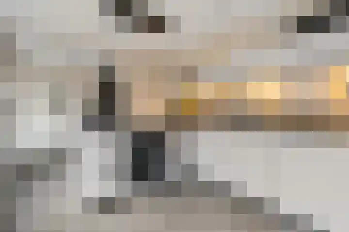 Uithof 84 Schoonebeek thumbnail 28