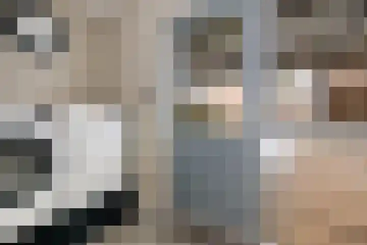 Uithof 84 Schoonebeek thumbnail 31