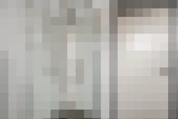 Uithof 84 Schoonebeek thumbnail 36