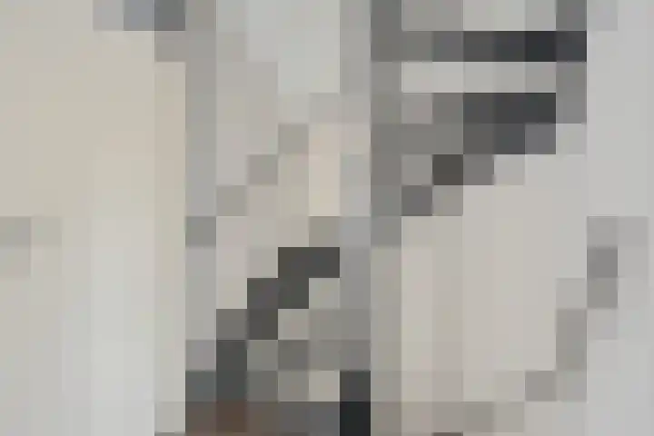 Uithof 84 Schoonebeek thumbnail 42