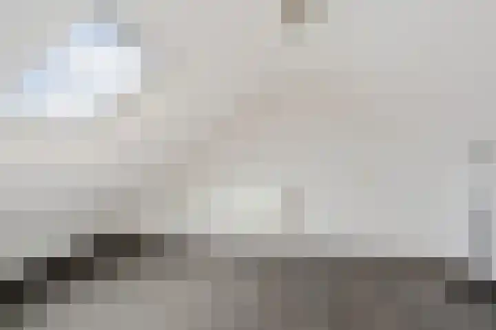 Uithof 84 Schoonebeek thumbnail 43
