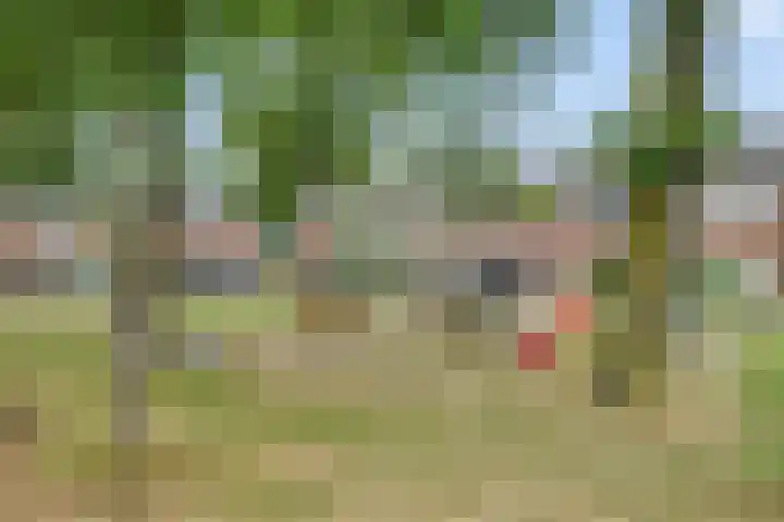 Uithof 84 Schoonebeek thumbnail 45