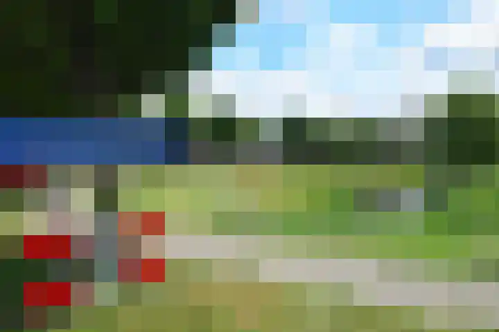 Uithof 84 Schoonebeek thumbnail 46