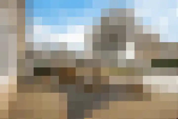 Uithof 84 Schoonebeek thumbnail 8
