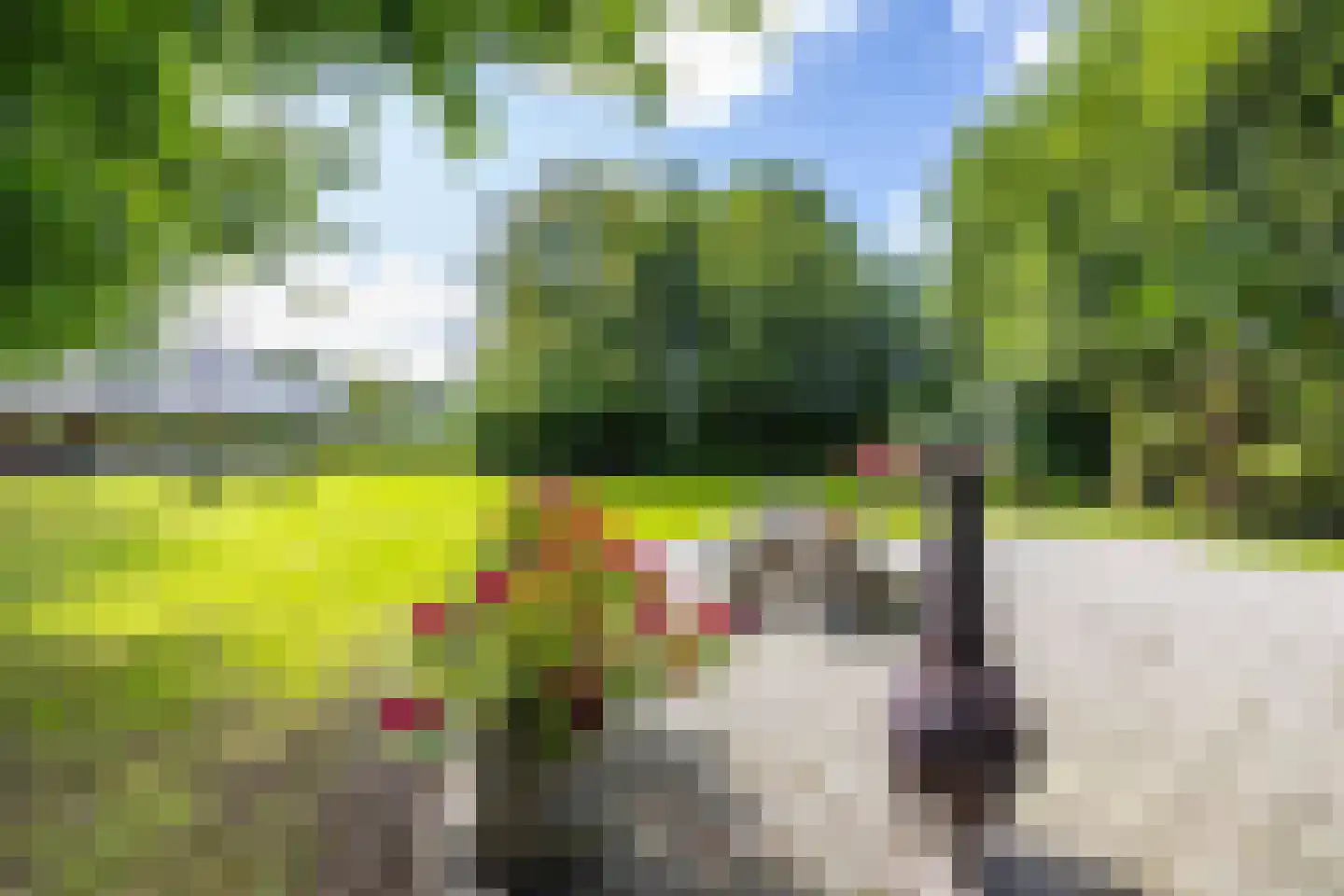 Uithuizerweg 19 Uithuizermeeden thumbnail 10