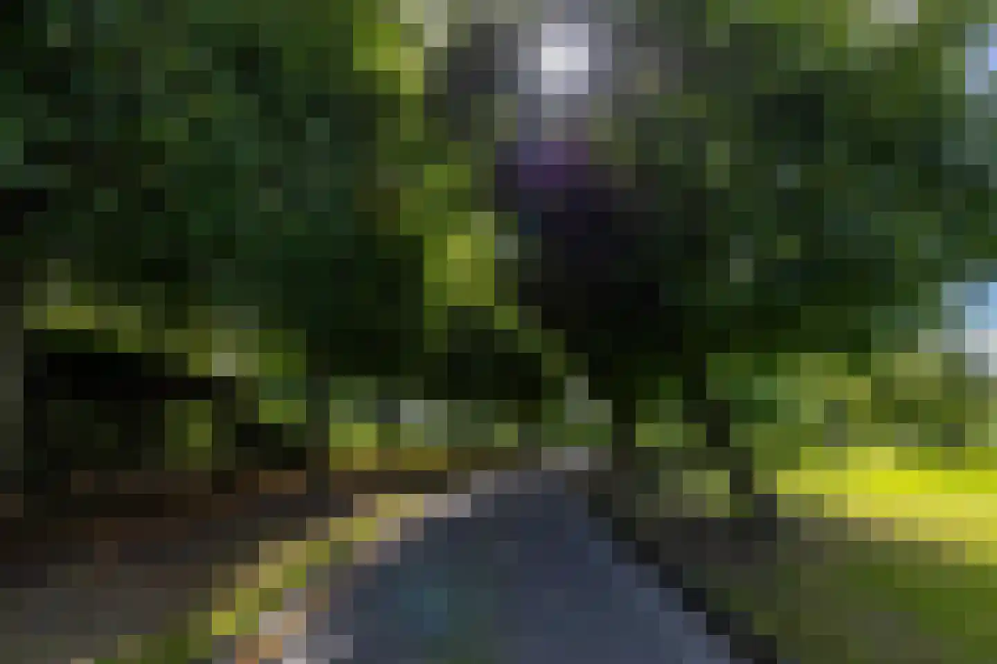 Uithuizerweg 19 Uithuizermeeden thumbnail 11