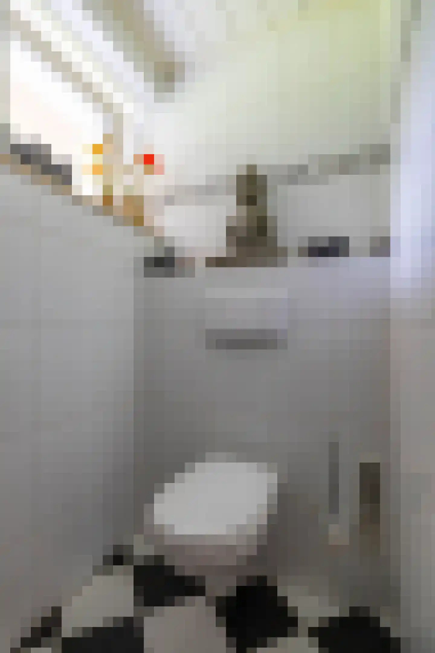 Uithuizerweg 19 Uithuizermeeden thumbnail 13