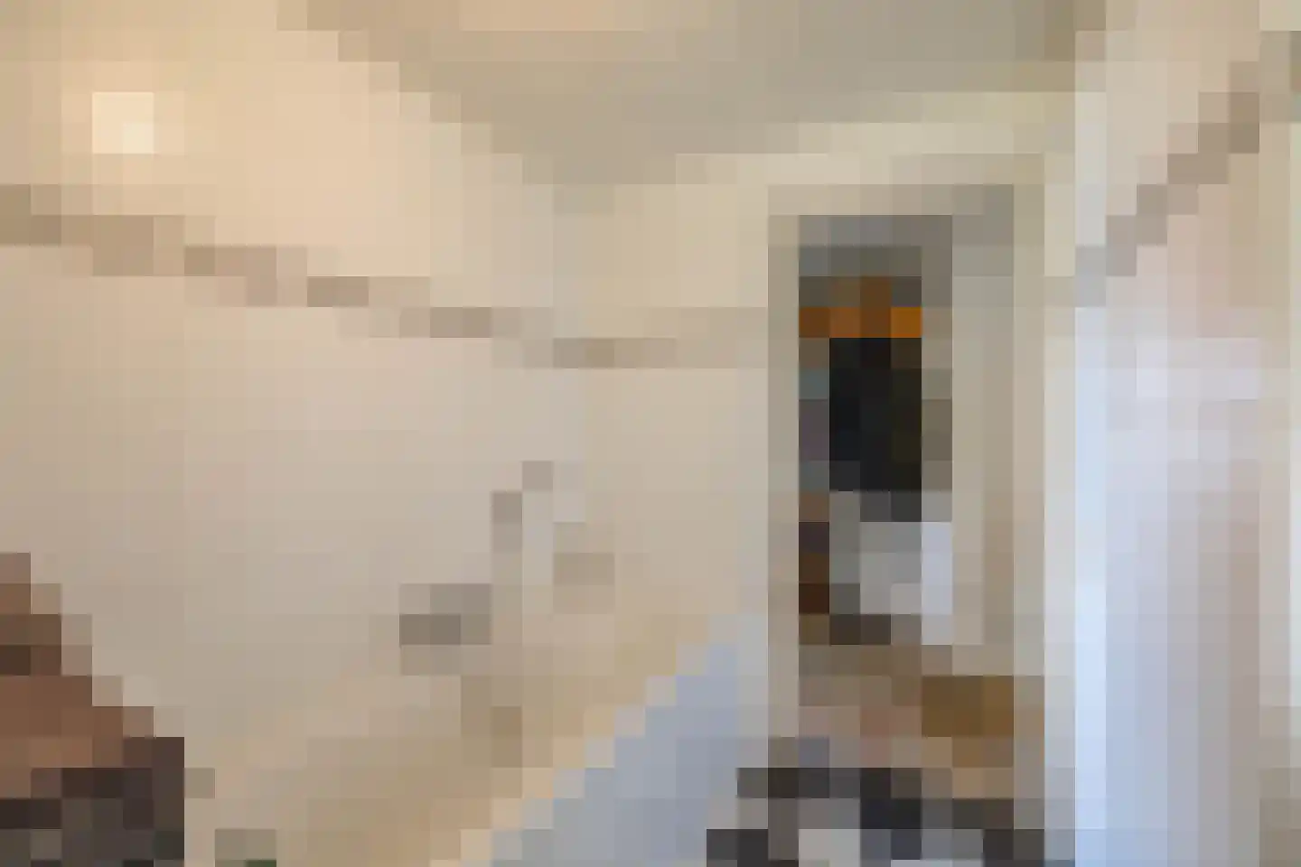 Uithuizerweg 19 Uithuizermeeden thumbnail 24