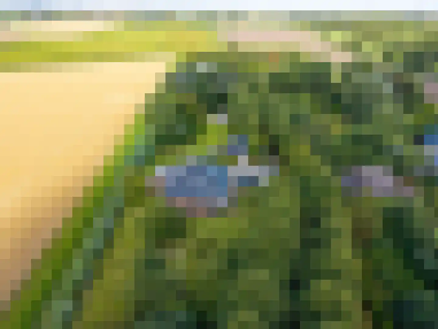 Uithuizerweg 19 Uithuizermeeden thumbnail 28