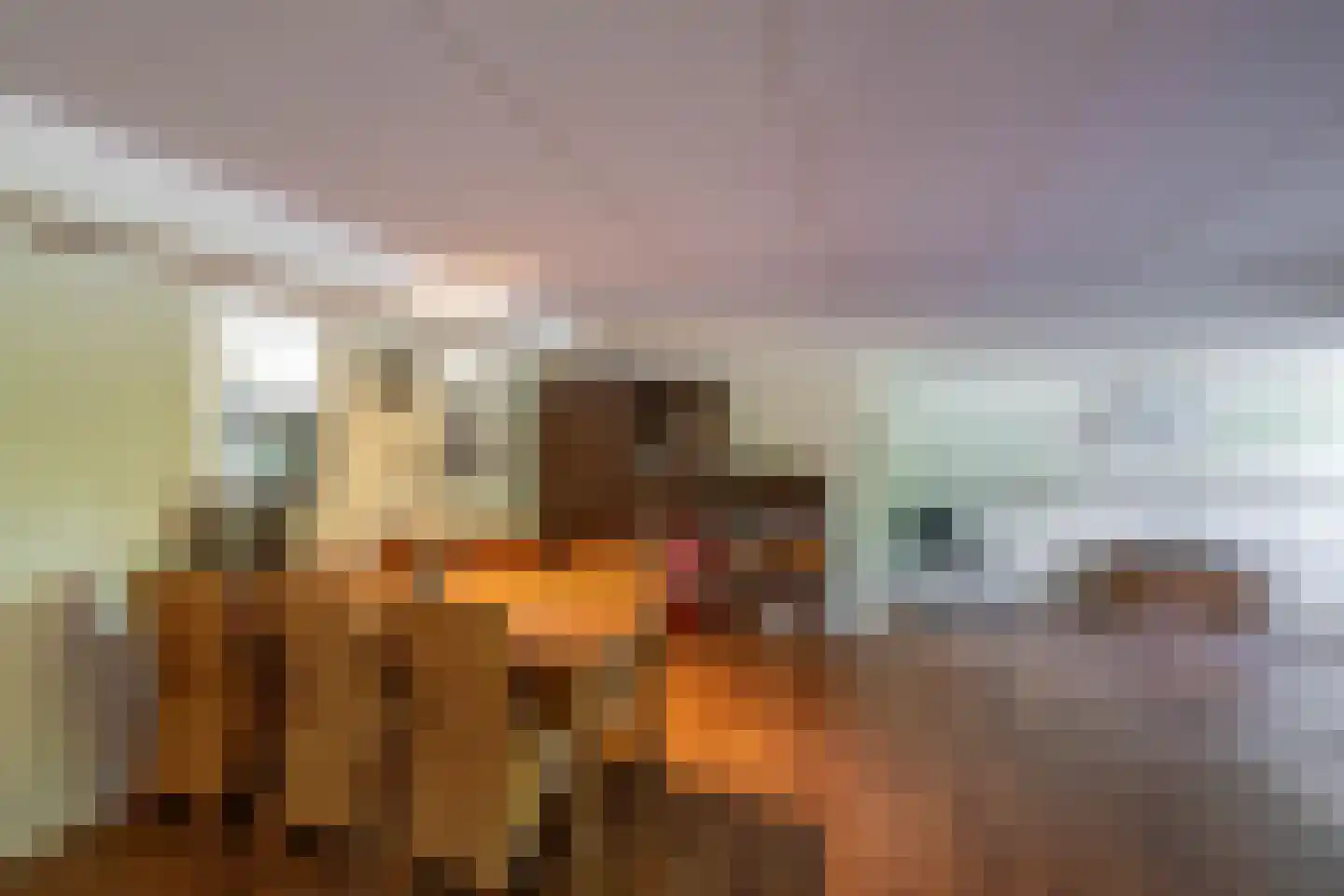 Uithuizerweg 19 Uithuizermeeden thumbnail 34