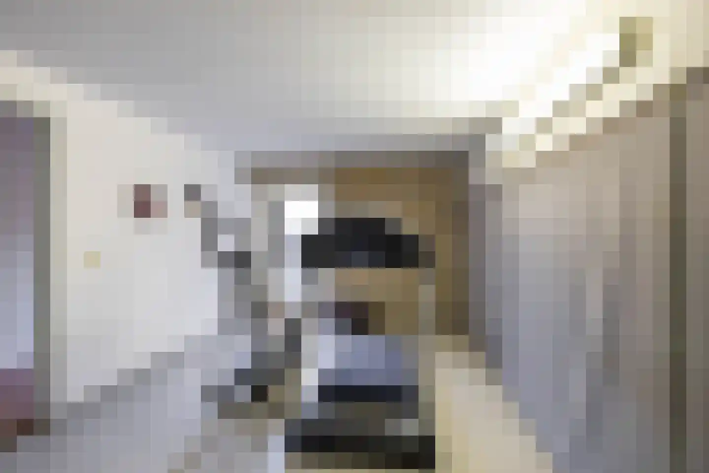 Uithuizerweg 19 Uithuizermeeden thumbnail 37