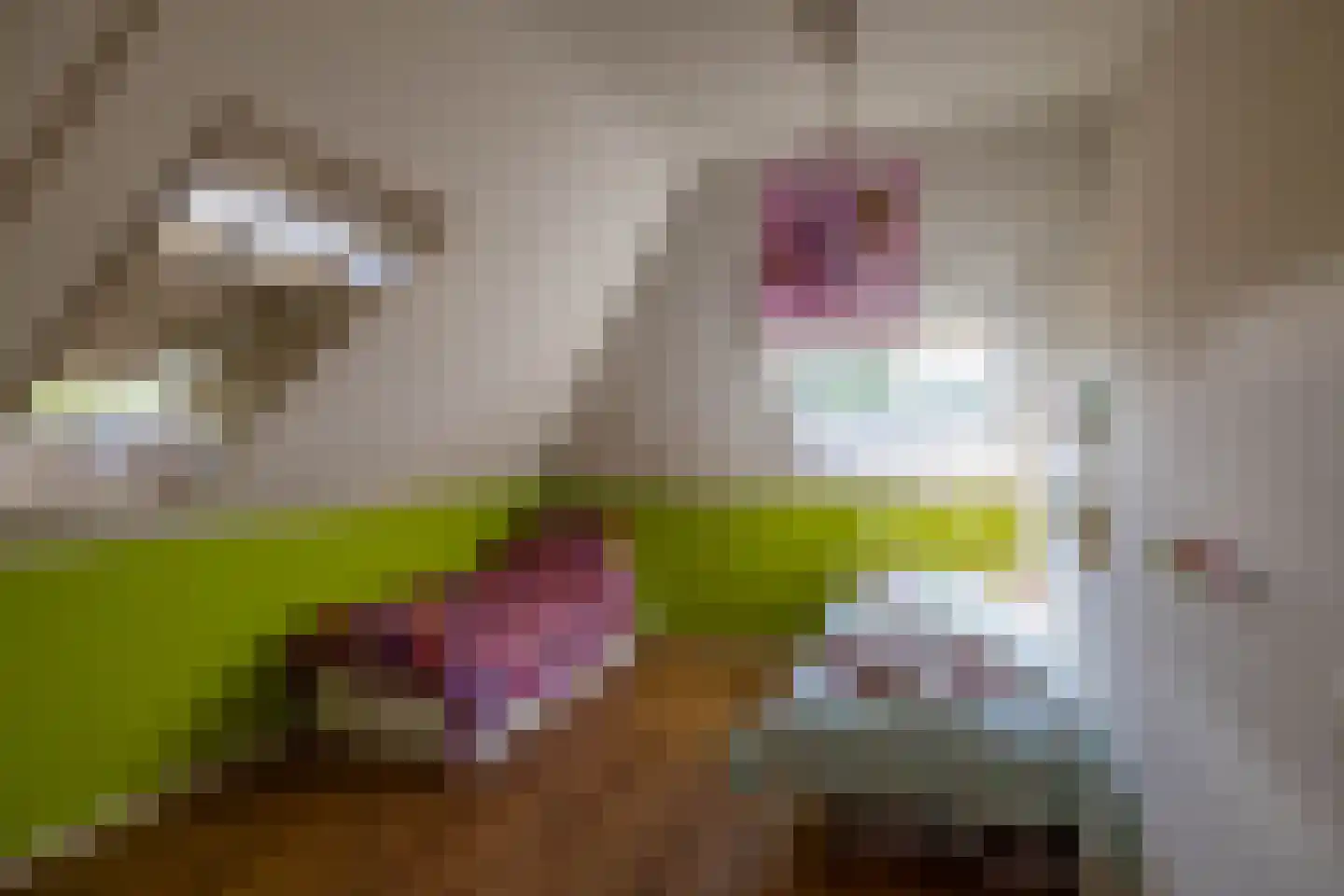 Uithuizerweg 19 Uithuizermeeden thumbnail 39