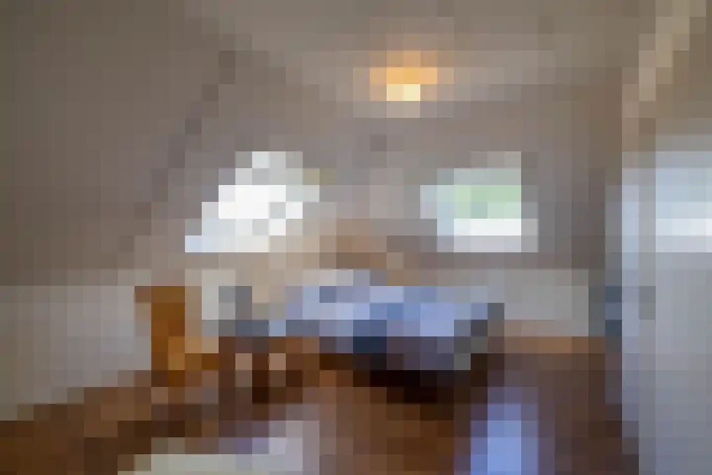 Uithuizerweg 19 Uithuizermeeden thumbnail 45