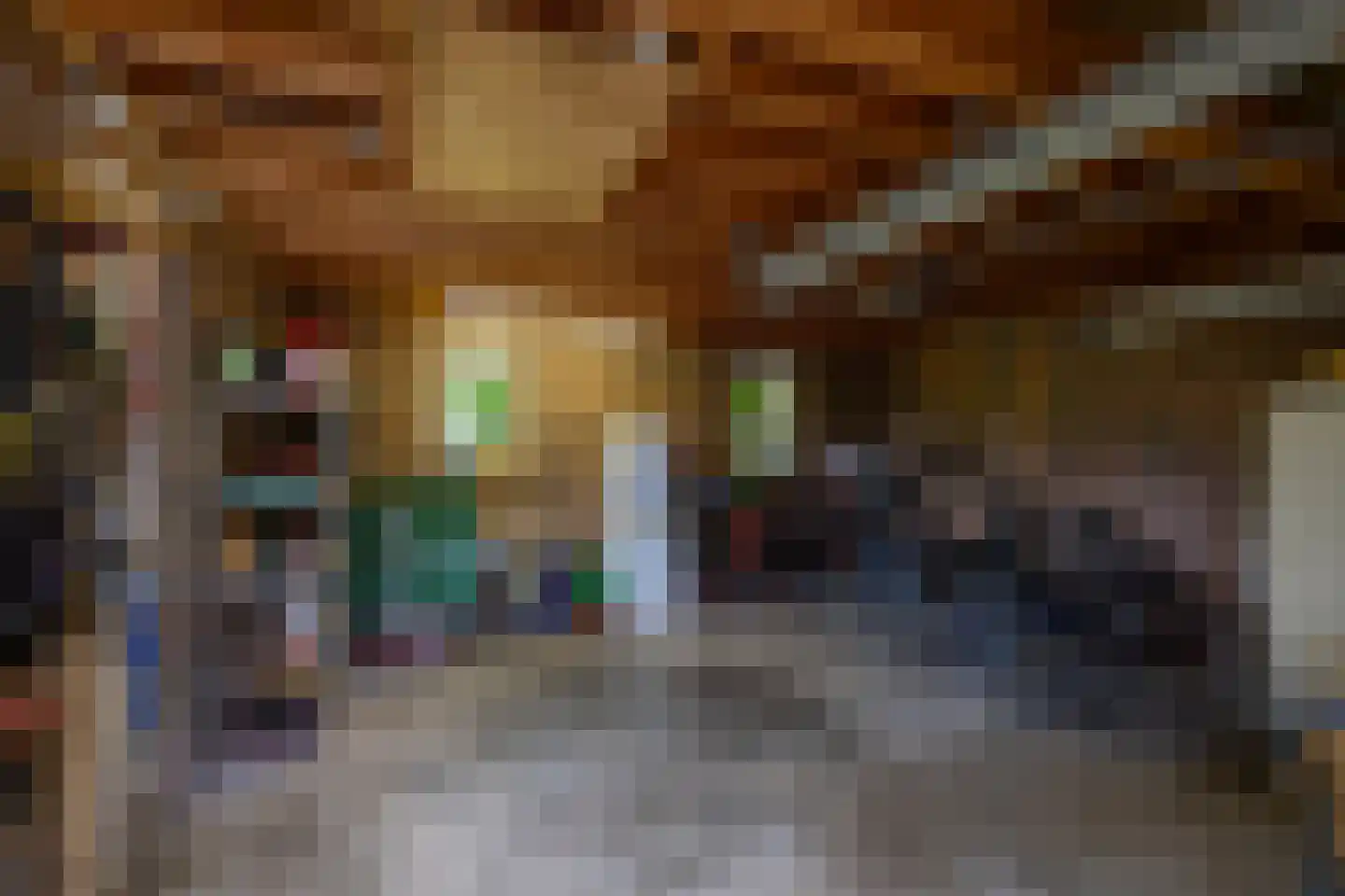 Uithuizerweg 19 Uithuizermeeden thumbnail 50