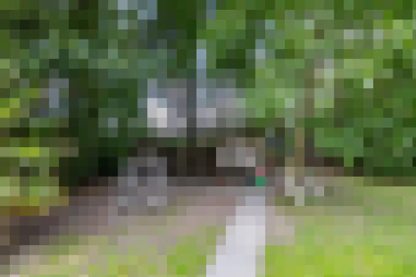 Uithuizerweg 19 Uithuizermeeden thumbnail 52