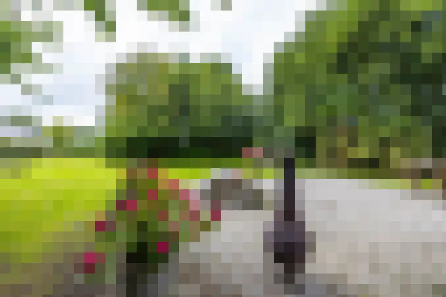 Uithuizerweg 19 Uithuizermeeden thumbnail 53