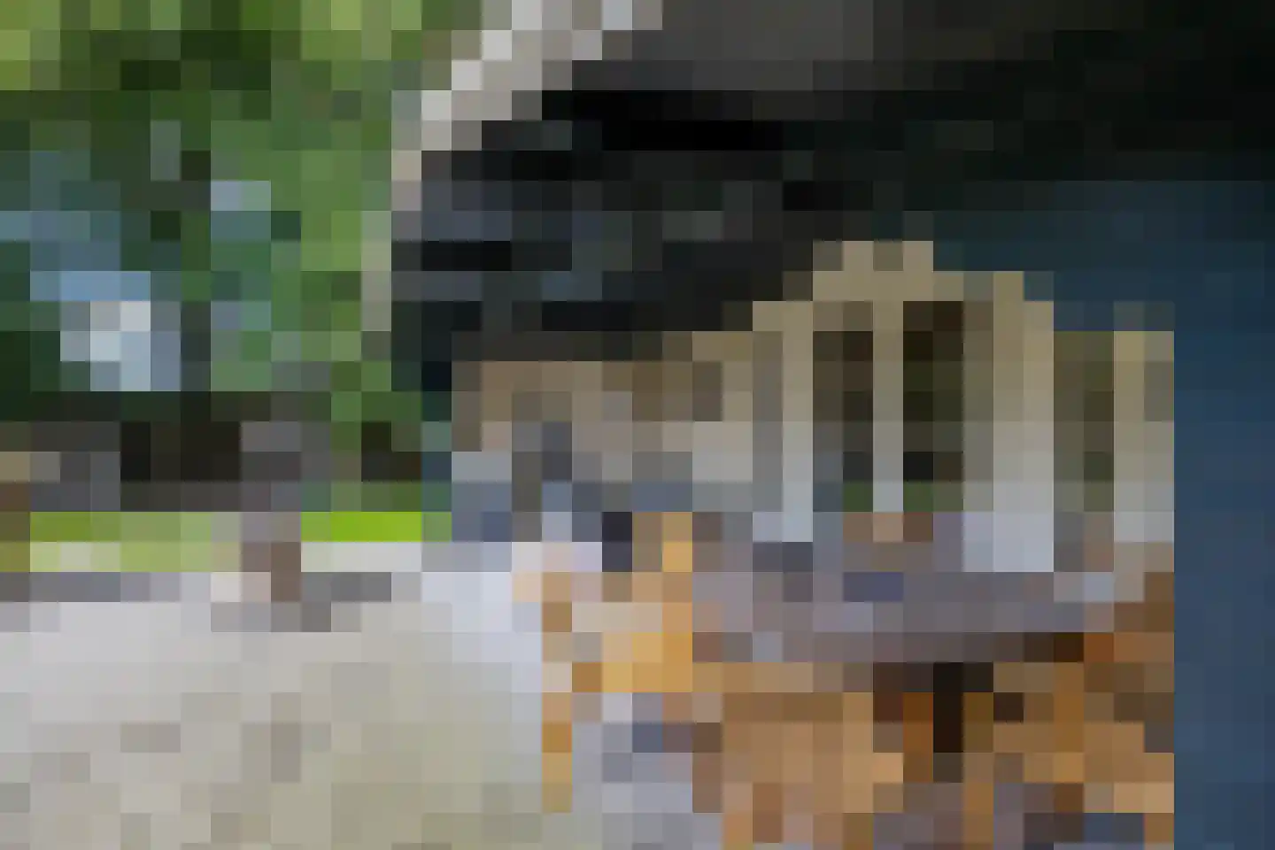 Uithuizerweg 19 Uithuizermeeden thumbnail 55