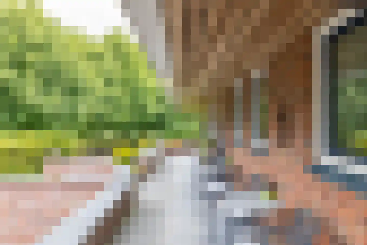 Uithuizerweg 19 Uithuizermeeden thumbnail 6