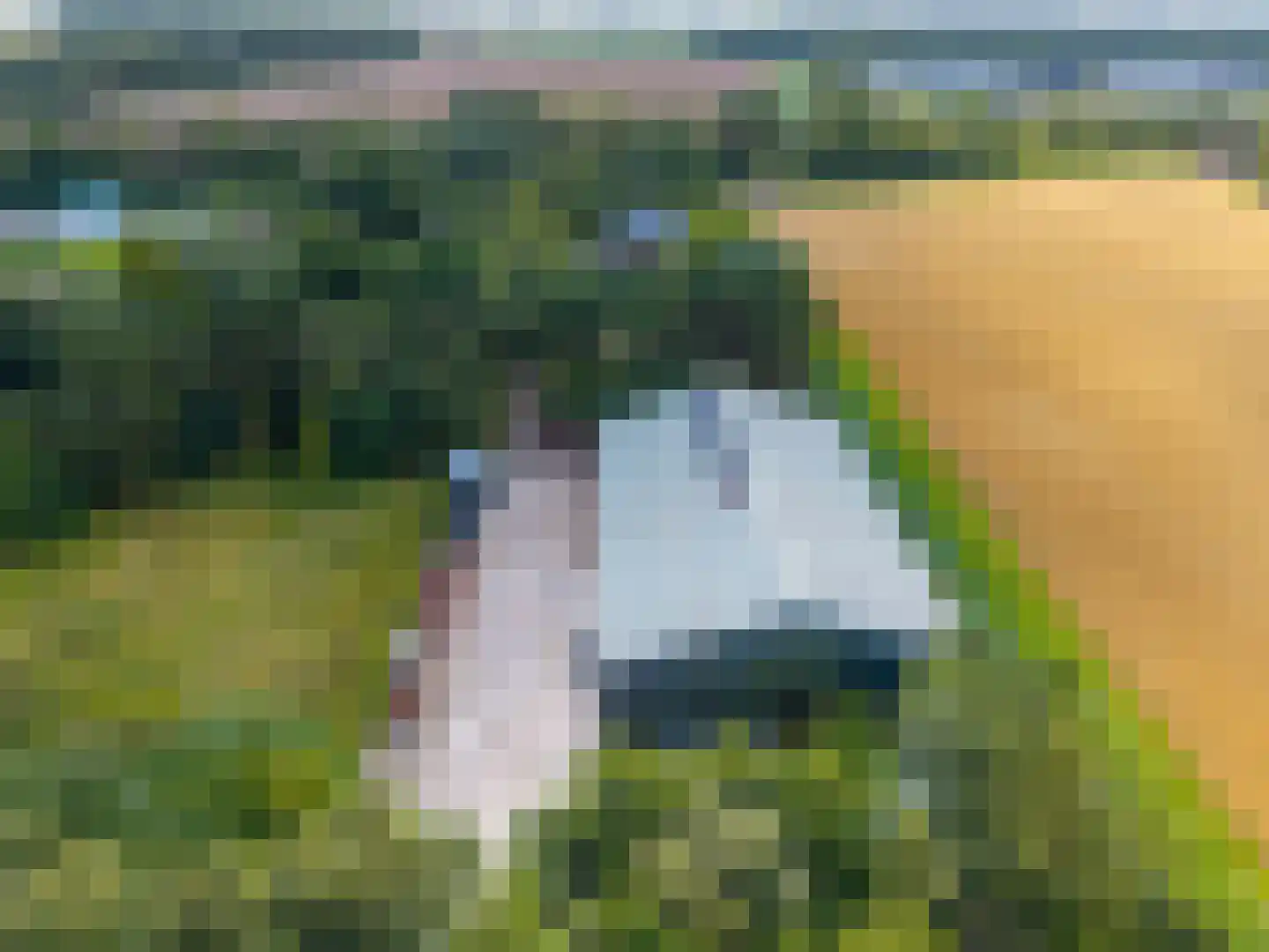 Uithuizerweg 19 Uithuizermeeden thumbnail 66