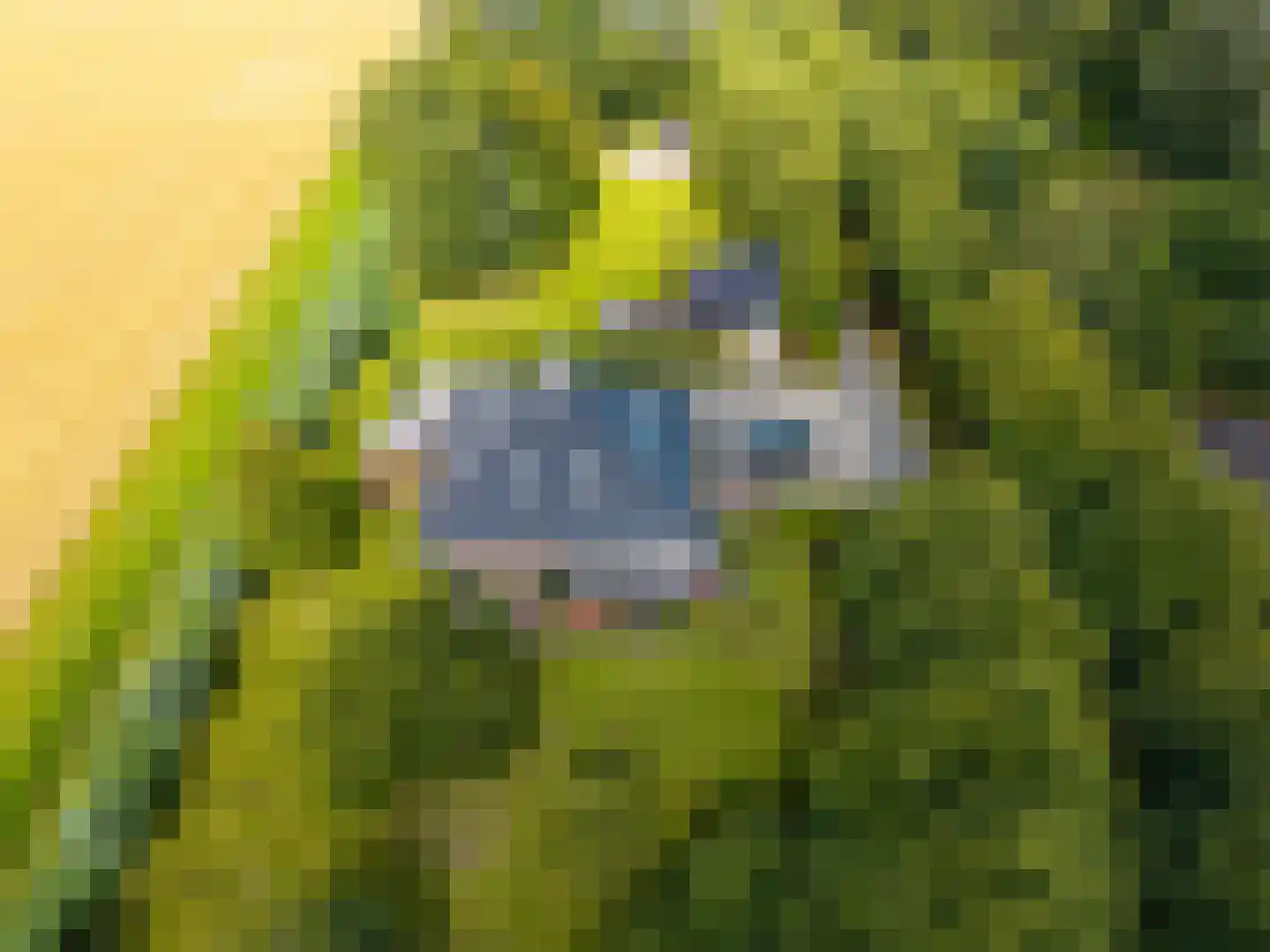 Uithuizerweg 19 Uithuizermeeden thumbnail 71