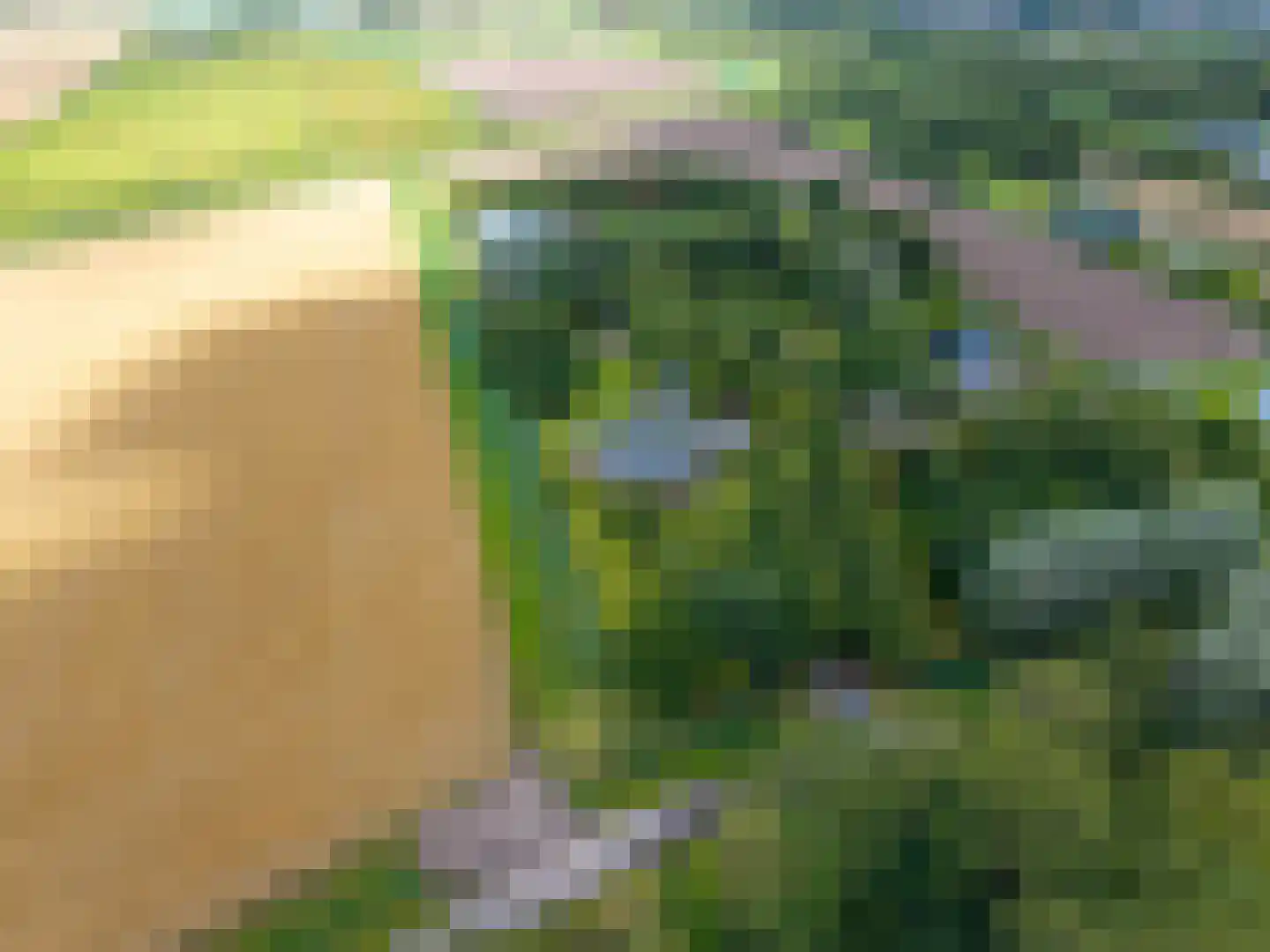 Uithuizerweg 19 Uithuizermeeden thumbnail 73