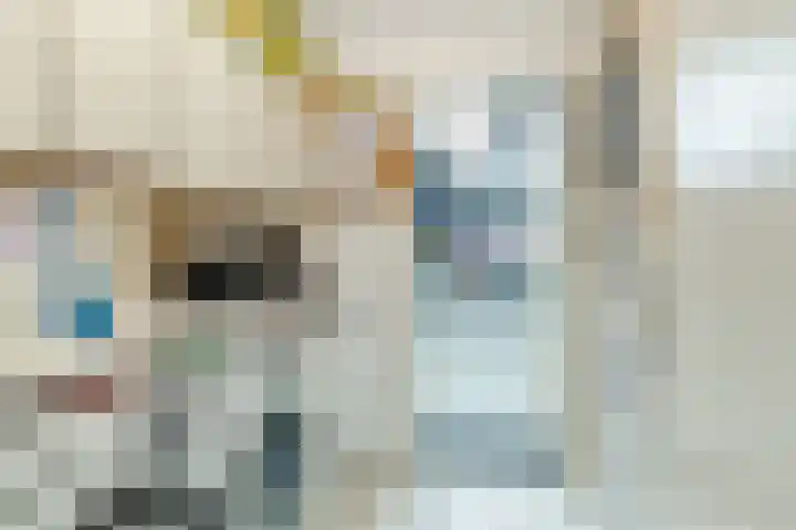 Uitoord 29 Breda thumbnail 16