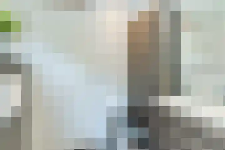 Uitoord 29 Breda thumbnail 27