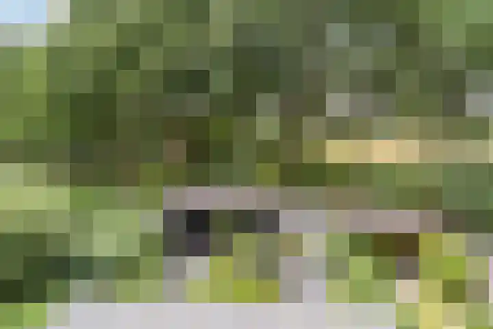 Uitoord 29 Breda thumbnail 35