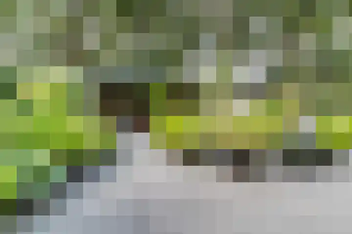Uitoord 29 Breda thumbnail 38
