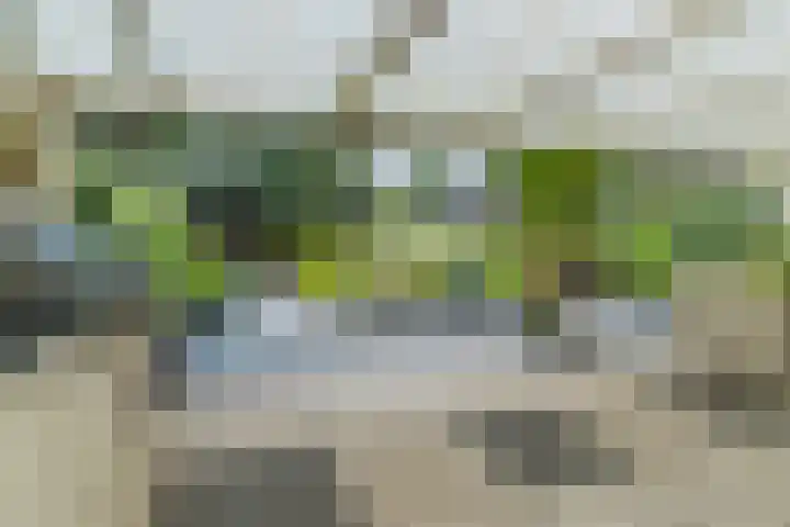 Uitoord 29 Breda thumbnail 42