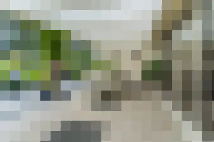 Uitoord 29 Breda thumbnail 43